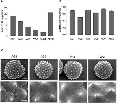 Influence of the environment on ragweed pollen and their sensitizing capacity in a mouse model of allergic lung inflammation